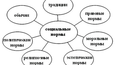 Photo of Что такое социальные нормы?